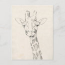 Search for giraffe drawing postcards Animal