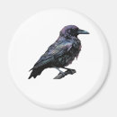 Search for grungy magnets Black