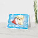 Search for toy poodle christmas cards Puppy
