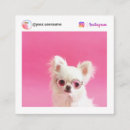 Search for pet instagram business cards Social media