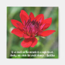 Search for red dahlia magnets Flower