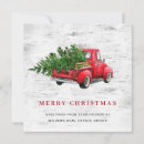 Search for birch trees christmas cards Watercolor