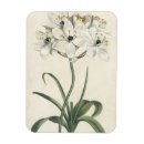 Search for botanical study magnets Florals