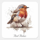 Search for cute robin stickers Watercolor