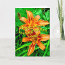 Search for daylilies cards Bloom
