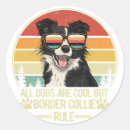 Search for border collie funny stickers Pet