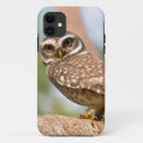 Search for spotted owl iphone cases Bird