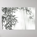 Search for bamboo background posters Botanical