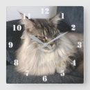 Search for maine coon cat art Feline