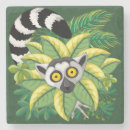 Search for lemur coasters Wildlife