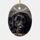 Search for labrador retriever christmas tree decorations Dog