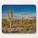 Search for arizona mouse mats United states
