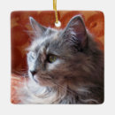 Search for gray cat christmas tree decorations Pets