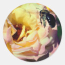 Search for bumble bees stickers Insect