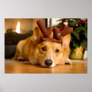 Search for reindeer posters Cute