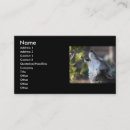 Search for wolf business cards Outdoor