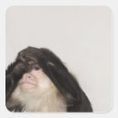 Search for square eyes stickers Wildlife