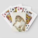 Search for monkey playing cards Macaque