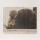 Search for sea otter puzzles Animals in the wild