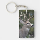 Search for white tailed deer key rings Animal