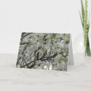 Search for pear tree cards White