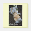 Search for catching magnets Bear