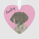 Search for mother in law christmas tree decorations For her