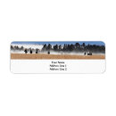 Search for running return address labels Nature