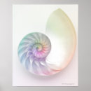 Search for colour image posters Square