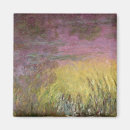 Search for waterlily magnets Giverny