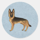 Search for alsatian german shepherd dog stickers Black and tan