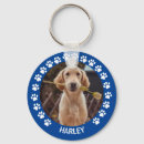 Search for dog key rings Modern simple template