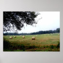 Search for bale art Hay
