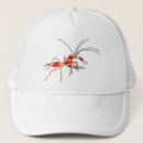 Search for aquariums hats Sea