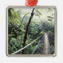 Search for costa rica christmas tree decorations Rainforest