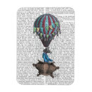 Search for zebra rectangular magnets Steampunk