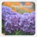 Search for purple hydrangeas stickers Nature