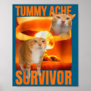 Search for cat meme posters Craft