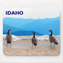 Search for geese mouse mats Nature