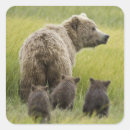 Search for clark stickers Alaska