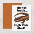 Search for salamander postcards Lizard