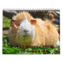 Search for guinea pig gifts Fluffy