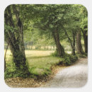 Search for path stickers Photography