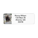 Search for zoo return address labels Nature