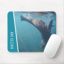 Search for swim mouse mats Animal