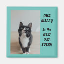 Search for insert magnets Cat
