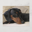 Search for digger postcards Cute