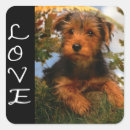 Search for puppies stickers Pink