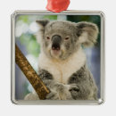 Search for fig christmas tree decorations Nature
