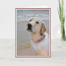 Search for labrador fathers day cards Pet